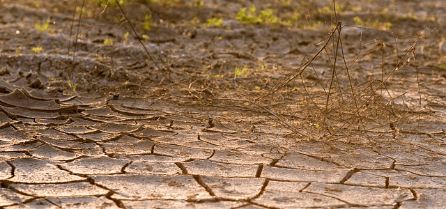 How To Avoid Dehydration When Hiking